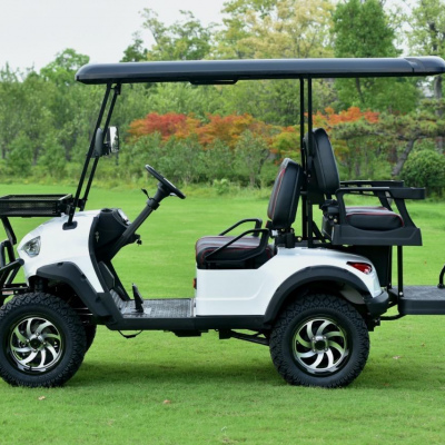 APOLO GOLF CART